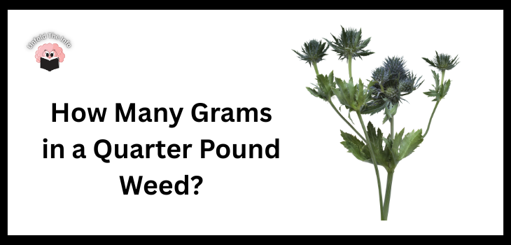 How Many Grams in a Quarter Pound Weed