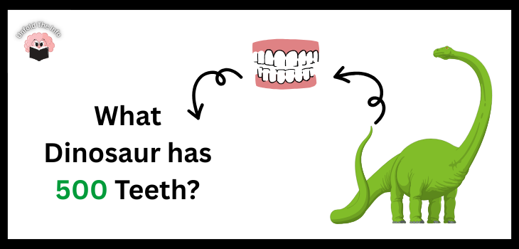 What Dinosaur has 500 Teeth