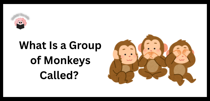 What Is a Group of Monkeys Called