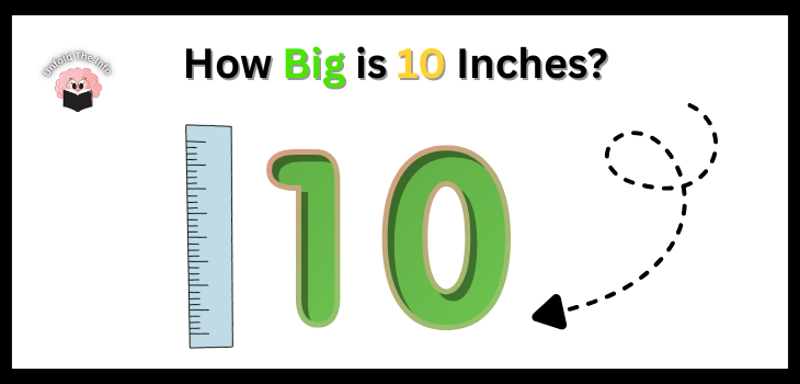 How Big is 10 Inches
