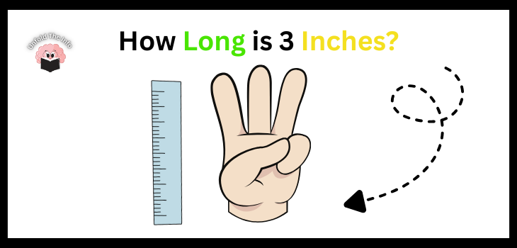 How Long Is 3 Inches