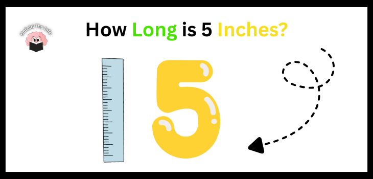 How Long is 5 Inches