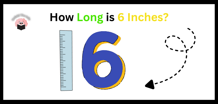 How Long is 6 Inches