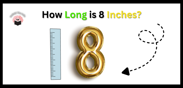 How Long is 8 Inches