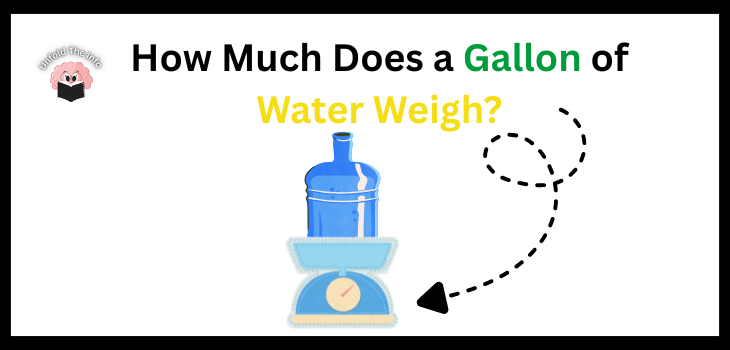 How Much Does a Gallon of Water Weigh
