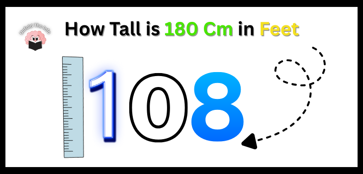 How Tall is 180 Cm in Feet