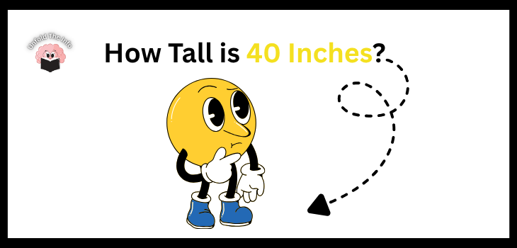 How Tall is 40 Inches