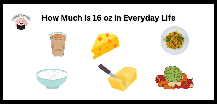 Real-World Examples_ How Much Is 16 oz in Everyday Life