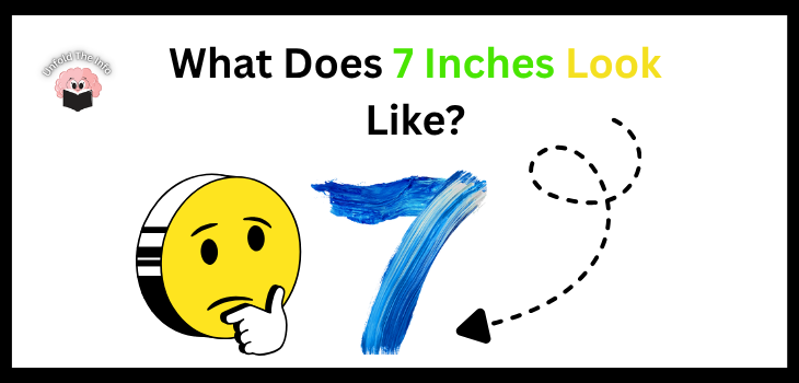 What Does 7 Inches Look Like